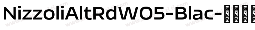 NizzoliAltRdW05-Blac字体转换