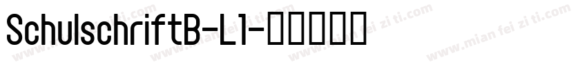 SchulschriftB-L1字体转换