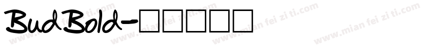 BudBold字体转换