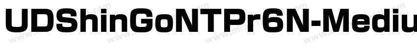 UDShinGoNTPr6N-Medium字体转换