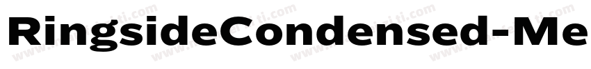 RingsideCondensed-Me字体转换