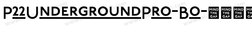 P22UndergroundPro-Bo字体转换