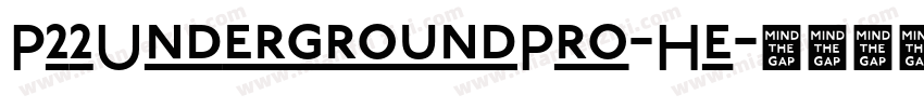 P22UndergroundPro-He字体转换