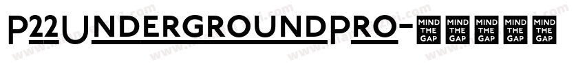 P22UndergroundPro字体转换