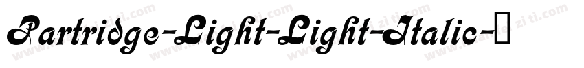 Partridge-Light-Light-Italic字体转换