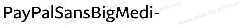 PayPalSansBigMedi字体转换