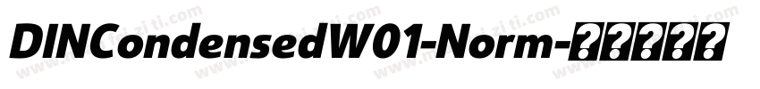 DINCondensedW01-Norm字体转换
