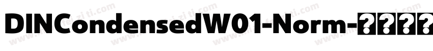 DINCondensedW01-Norm字体转换