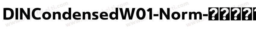 DINCondensedW01-Norm字体转换