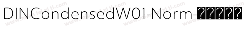 DINCondensedW01-Norm字体转换