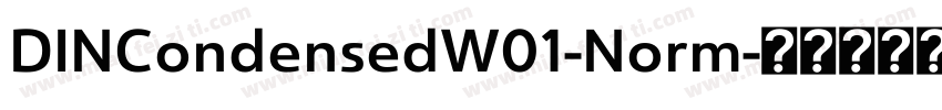 DINCondensedW01-Norm字体转换