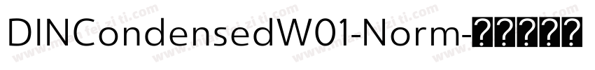 DINCondensedW01-Norm字体转换