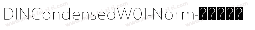 DINCondensedW01-Norm字体转换