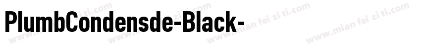 PlumbCondensde-Black字体转换