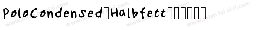 PoloCondensed-Halbfett字体转换