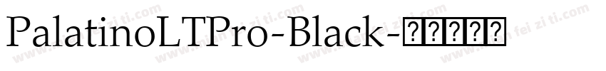 PalatinoLTPro-Black字体转换