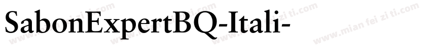 SabonExpertBQ-Itali字体转换