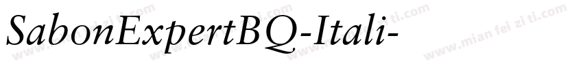SabonExpertBQ-Itali字体转换