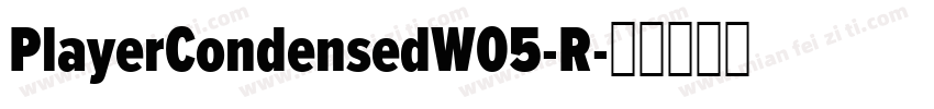 PlayerCondensedW05-R字体转换