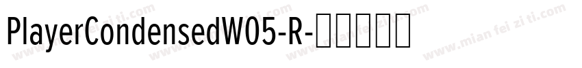 PlayerCondensedW05-R字体转换