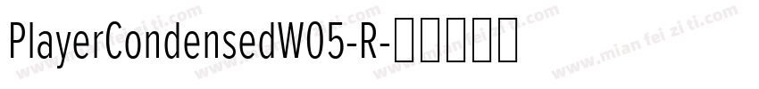 PlayerCondensedW05-R字体转换