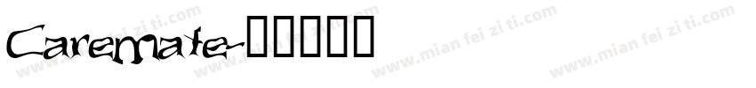 Caremate字体转换