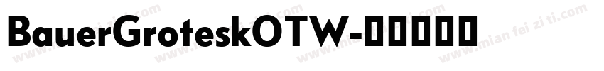 BauerGroteskOTW字体转换