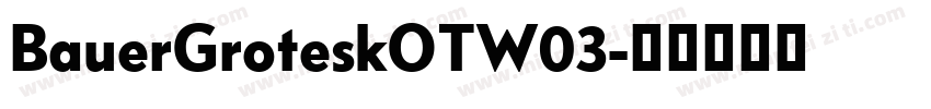 BauerGroteskOTW03字体转换