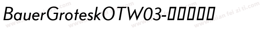 BauerGroteskOTW03字体转换