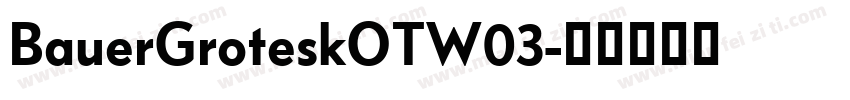 BauerGroteskOTW03字体转换