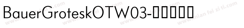 BauerGroteskOTW03字体转换
