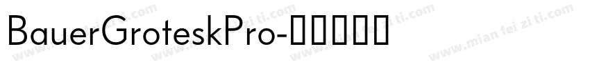 BauerGroteskPro字体转换