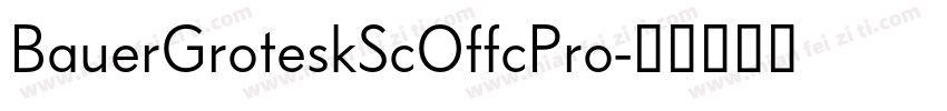 BauerGroteskScOffcPro字体转换