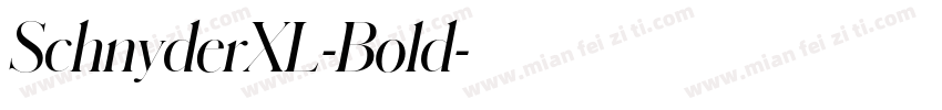 SchnyderXL-Bold字体转换
