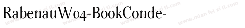 RabenauW04-BookConde字体转换