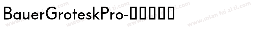 BauerGroteskPro字体转换