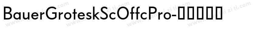 BauerGroteskScOffcPro字体转换