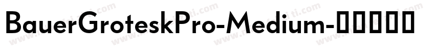 BauerGroteskPro-Medium字体转换