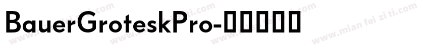 BauerGroteskPro字体转换