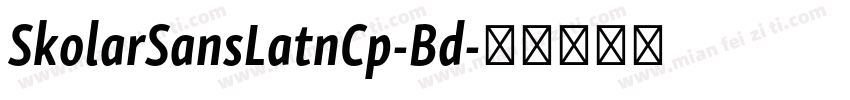 SkolarSansLatnCp-Bd字体转换
