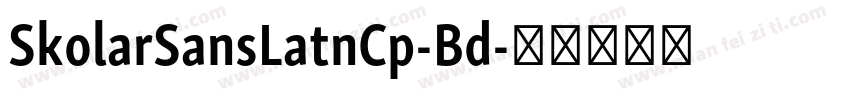 SkolarSansLatnCp-Bd字体转换