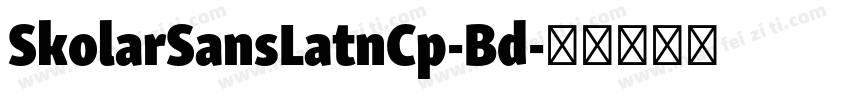 SkolarSansLatnCp-Bd字体转换