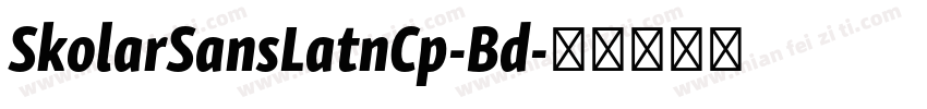 SkolarSansLatnCp-Bd字体转换