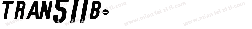TRAN511B字体转换