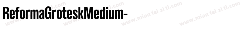 ReformaGroteskMedium字体转换