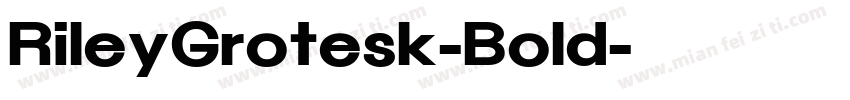 RileyGrotesk-Bold字体转换