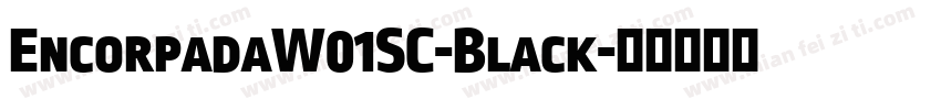 EncorpadaW01SC-Black字体转换