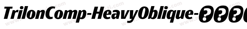 TrilonComp-HeavyOblique字体转换