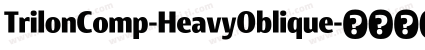 TrilonComp-HeavyOblique字体转换