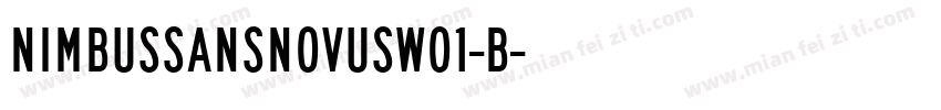 NimbusSansNovusW01-B字体转换